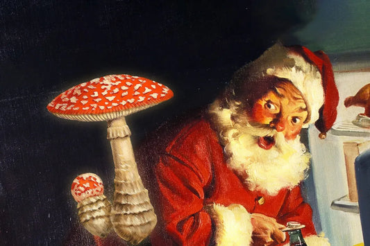 High Dosing Amanita Muscaria