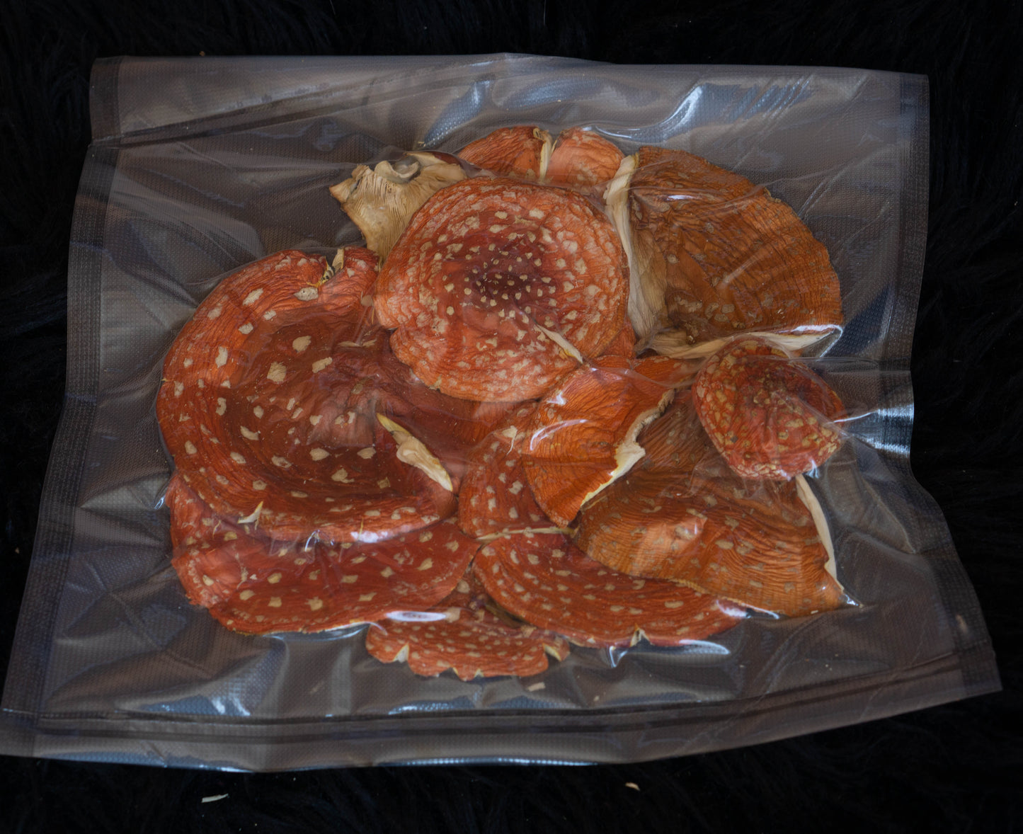 Amanita Muscaria Dried Caps from Viking land 2023 harvest - Vikingamanita vacuum sealed amanita dried caps