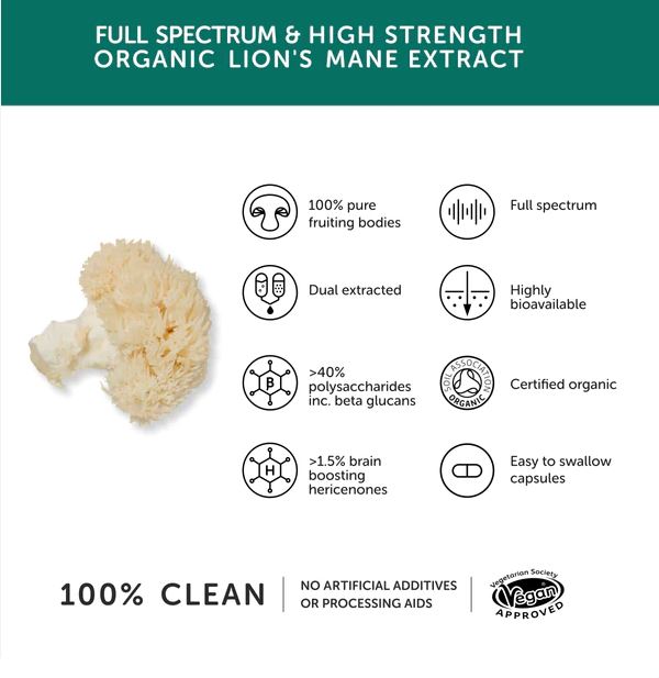 Lion's Mane Extract 10:1 Powder 100g - Vikingamanita