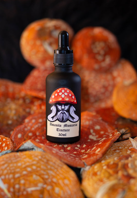 Amanita Muscaria tincture extract 30ml - Vikingamanita